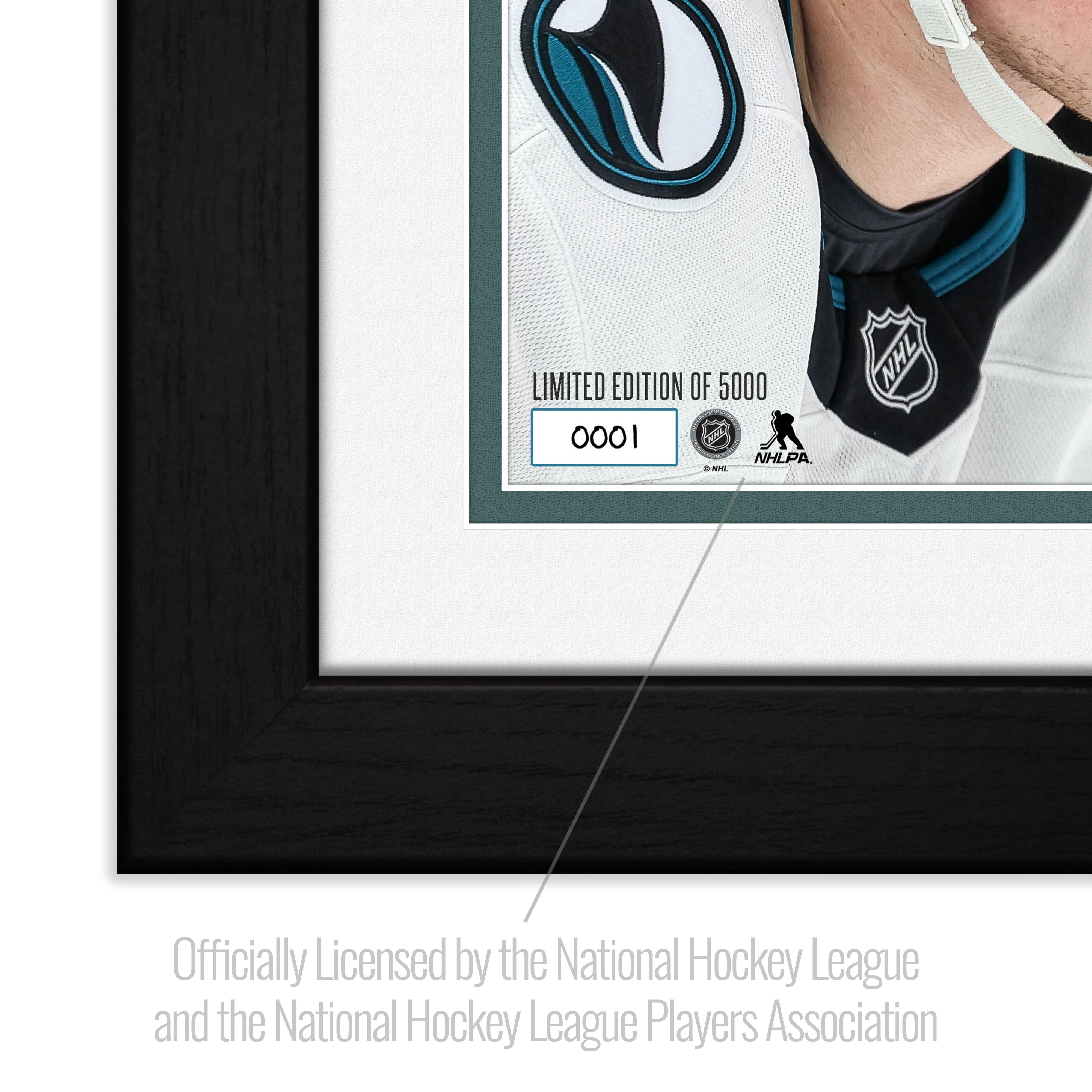 Macklin Celebrini San Jose Sharks Single-Season Points Record Bronze Coin Photo Mint