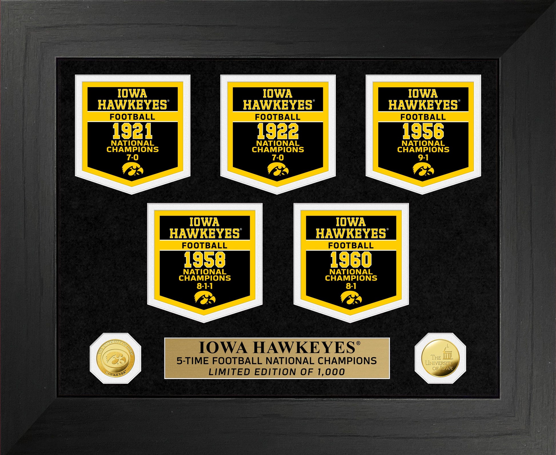 University of Iowa Gold Coin Deluxe Banner Collection