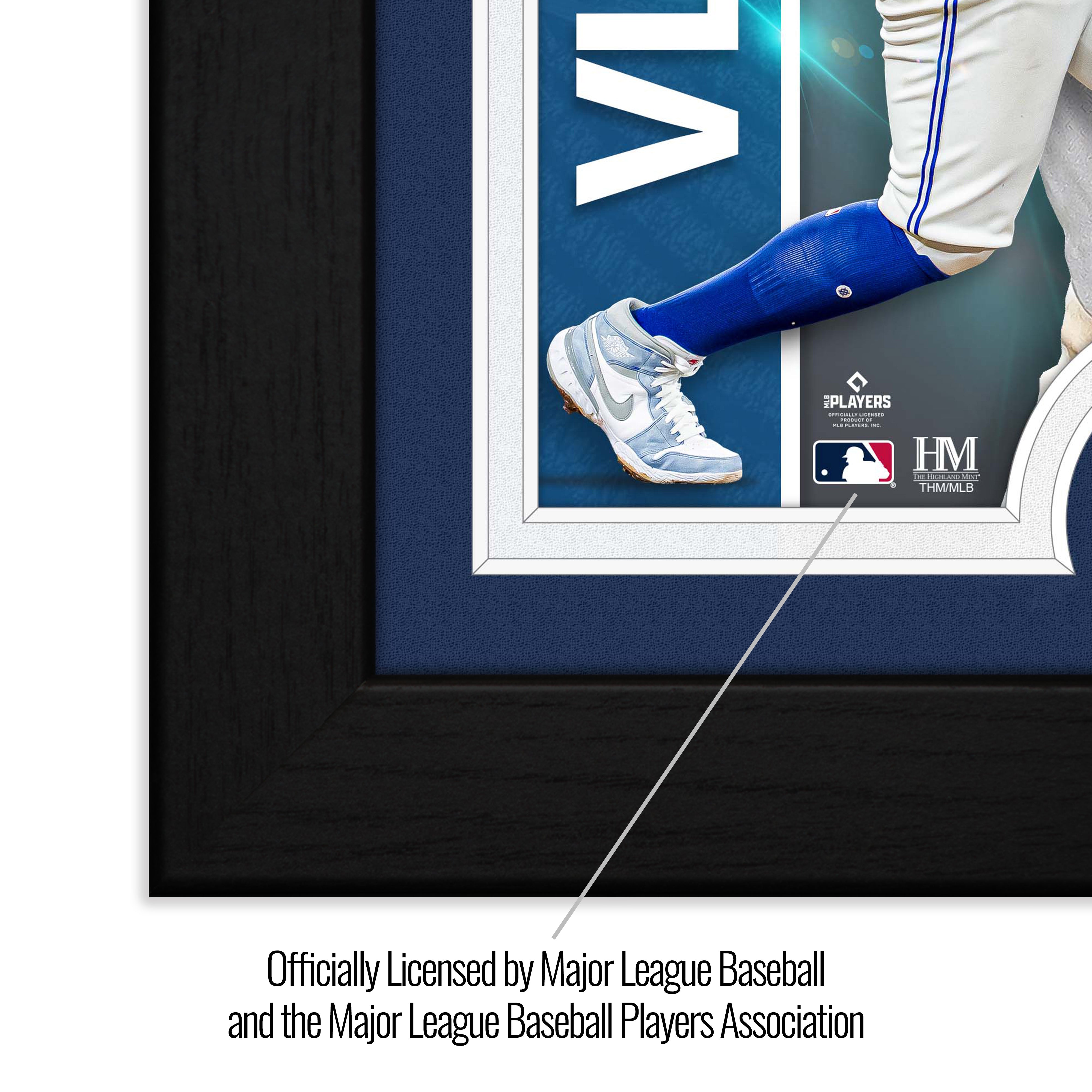 Vladimir Guerrero Jr Artist Proof Silver Coin Photo Mint