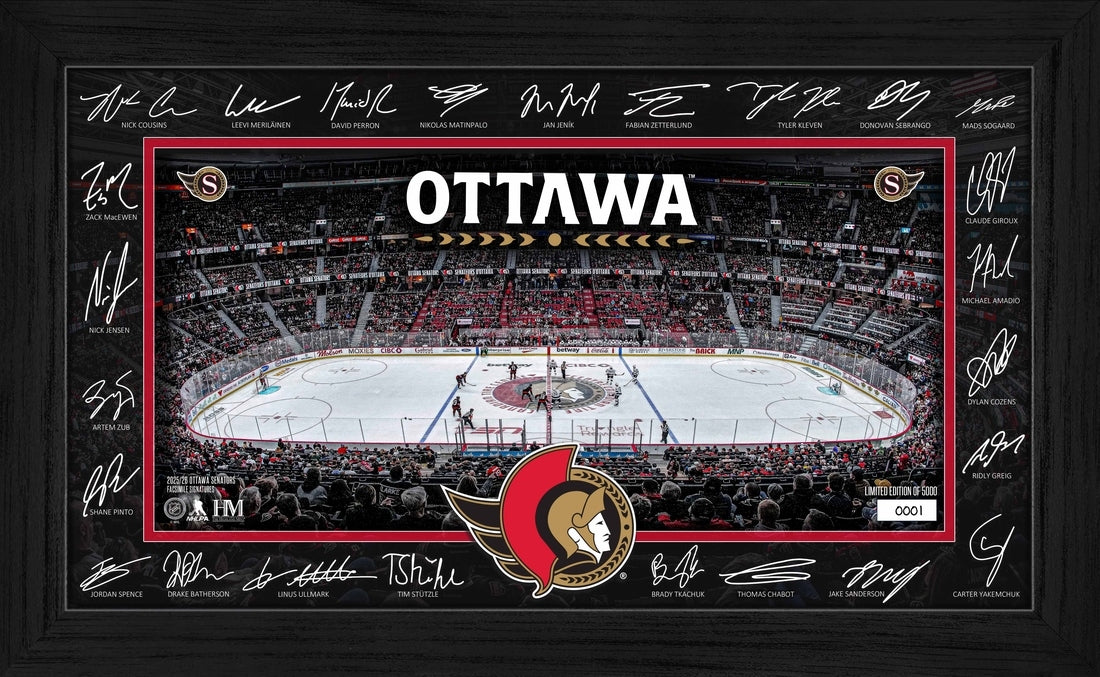 Ottowa Senators 2025 Signature Rink