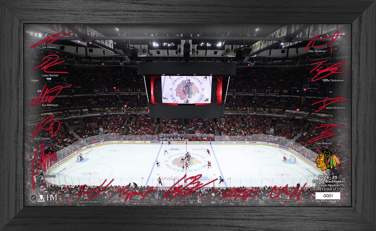 Bc Rink Chicago Blackhawks Ice Rink