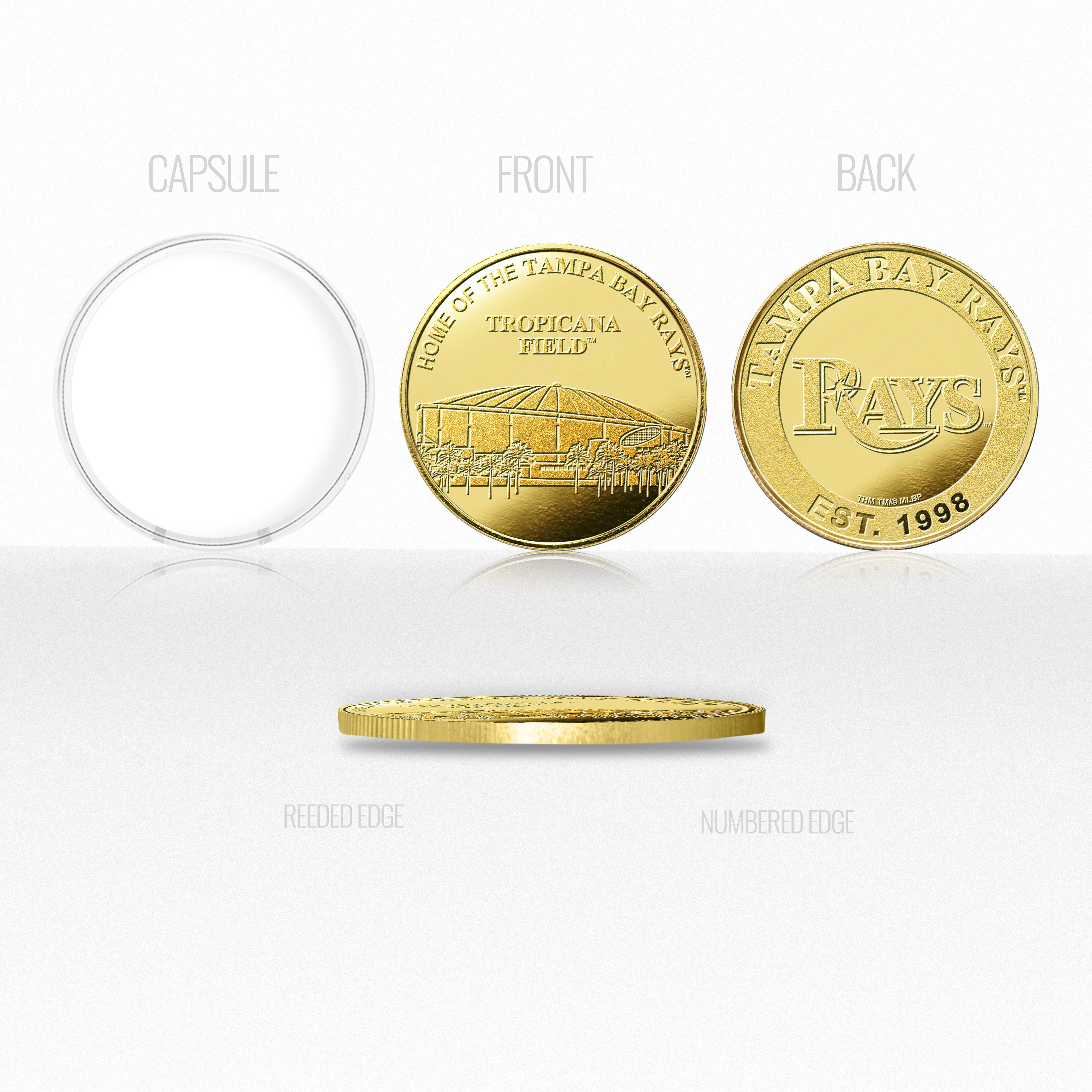 Tampa Bay Rays Stadium Gold Mint Coin