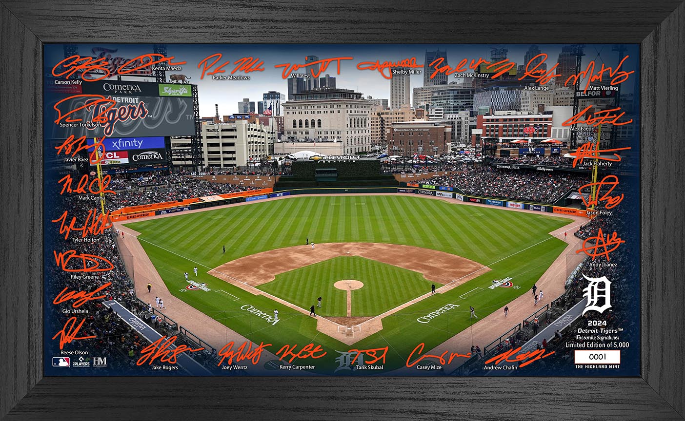 Detroit Tigers 2024 Signature Field