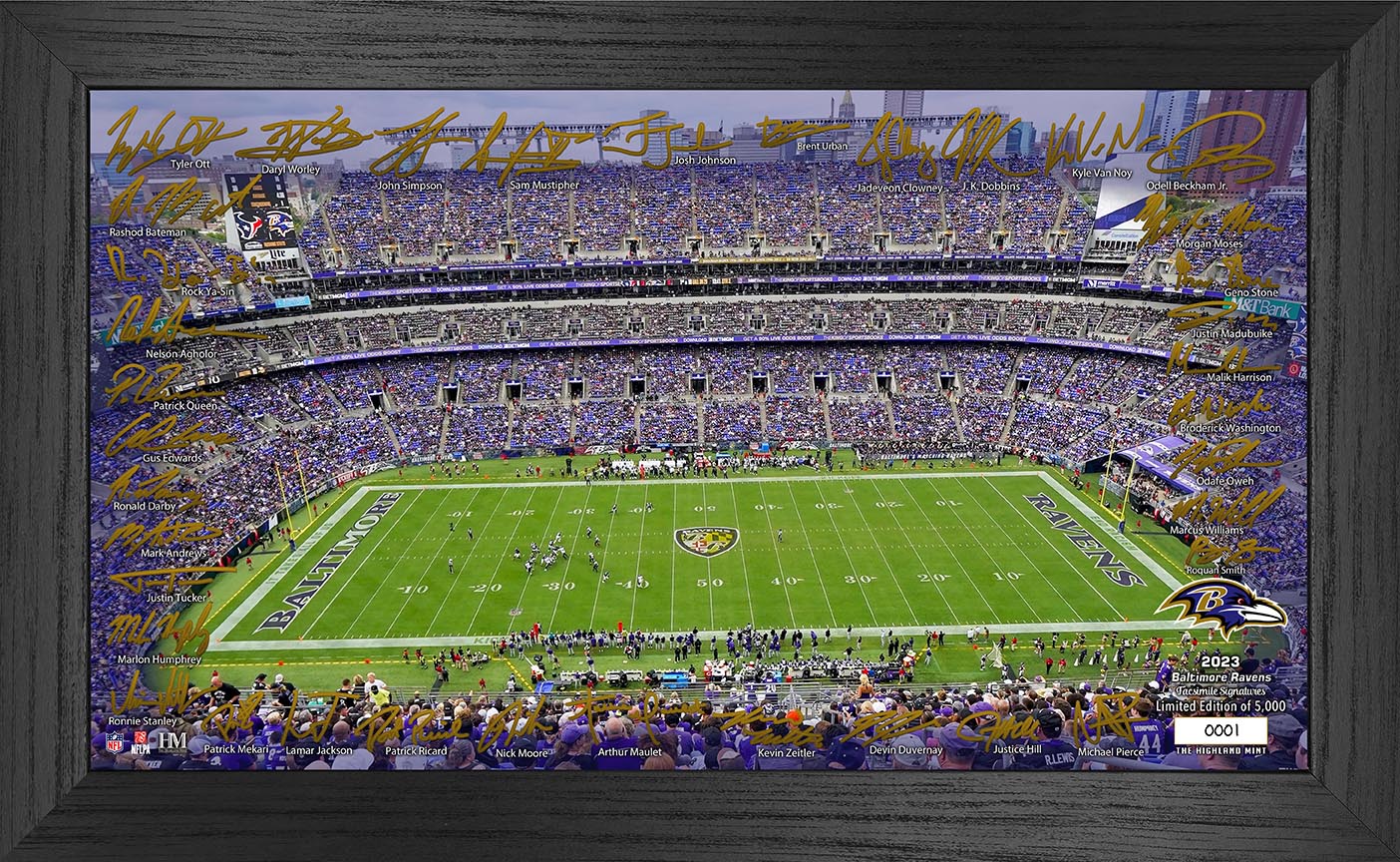 Baltimore Ravens 2023 NFL Signature Gridiron