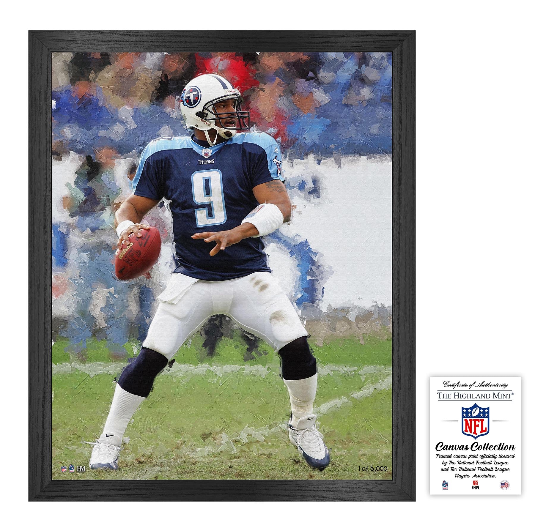 Steve McNair Framed Canvas