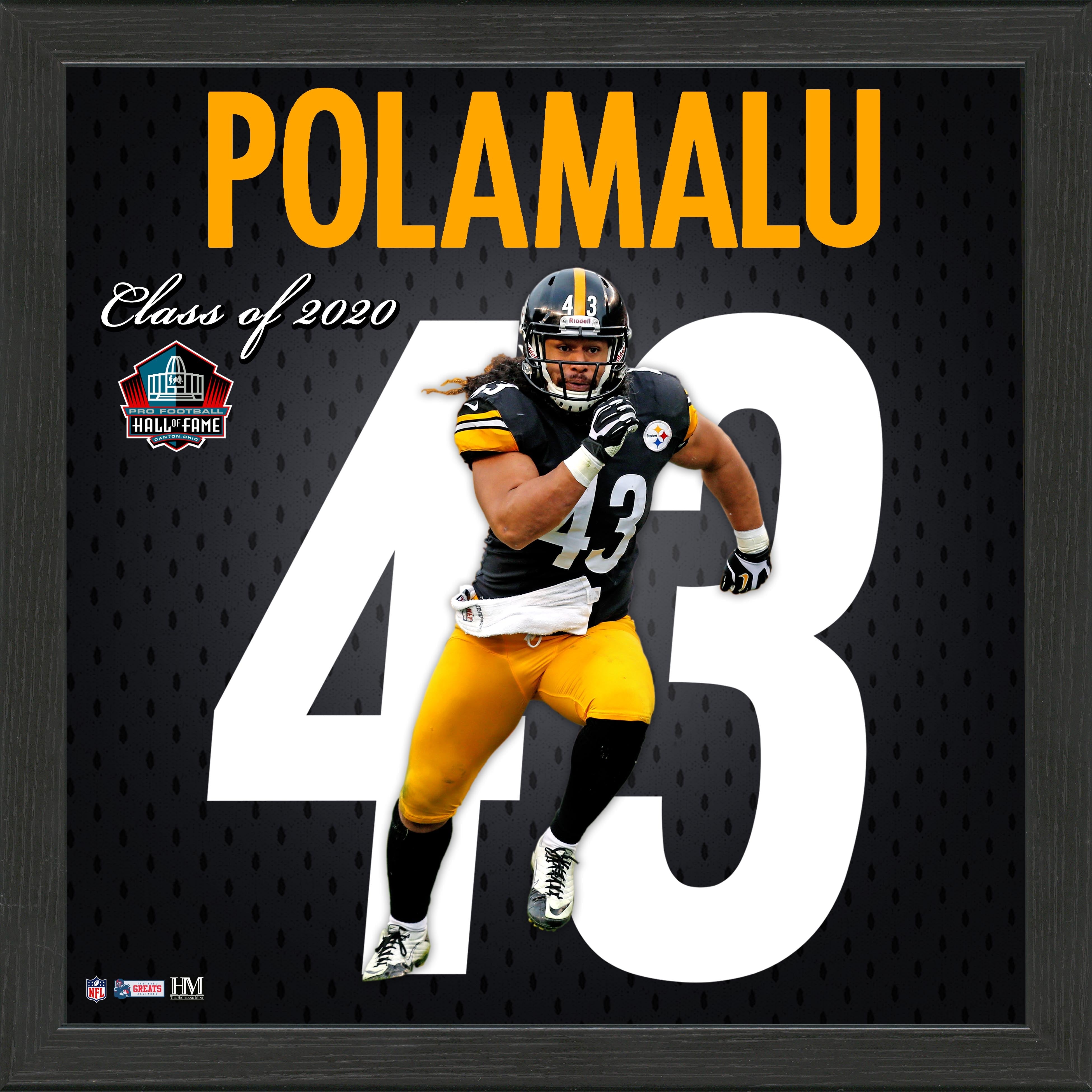 Troy Polamalu Impact Jersey Framed Photo