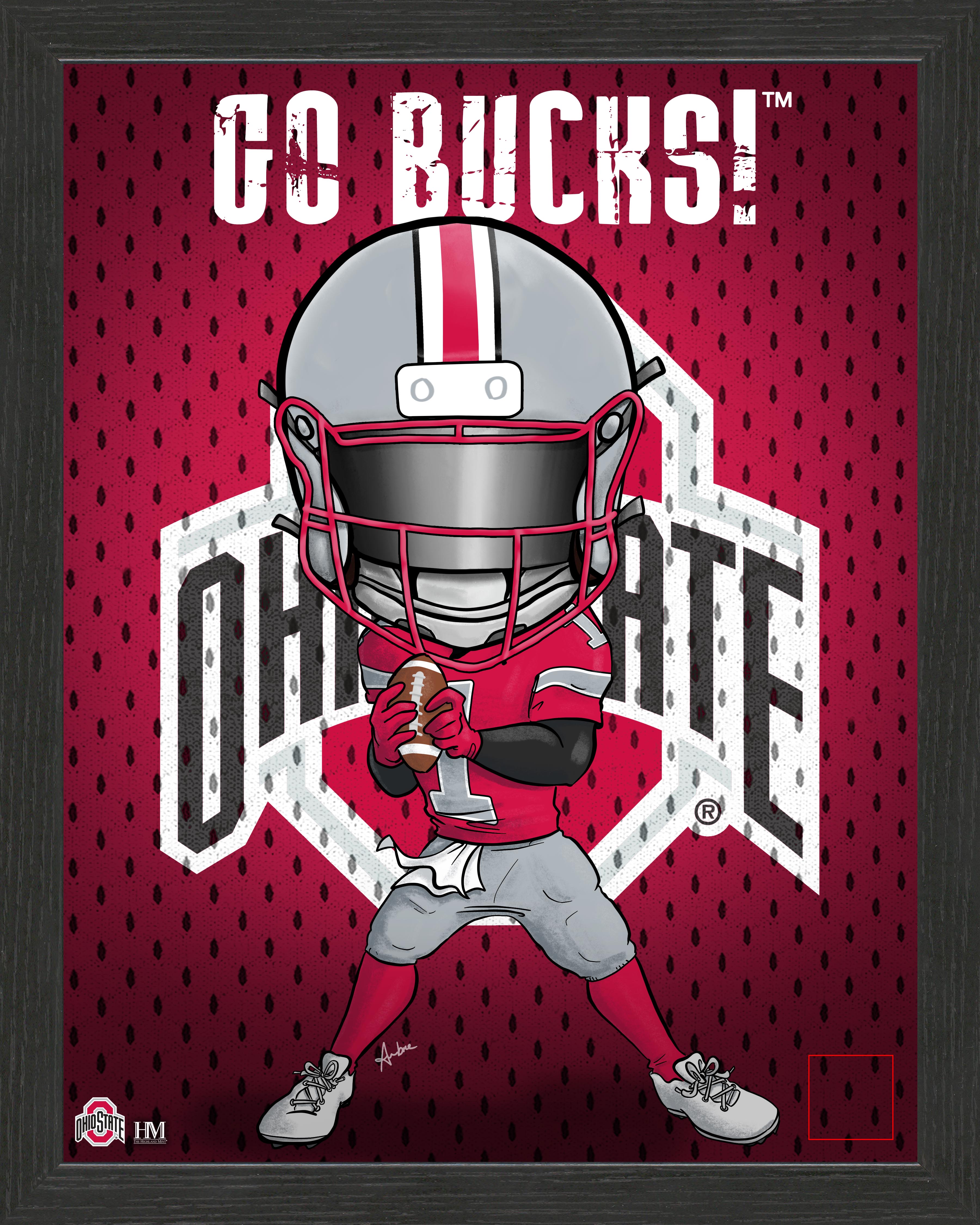 Ohio State University Buckeyes Framed Collegiate Dynamo