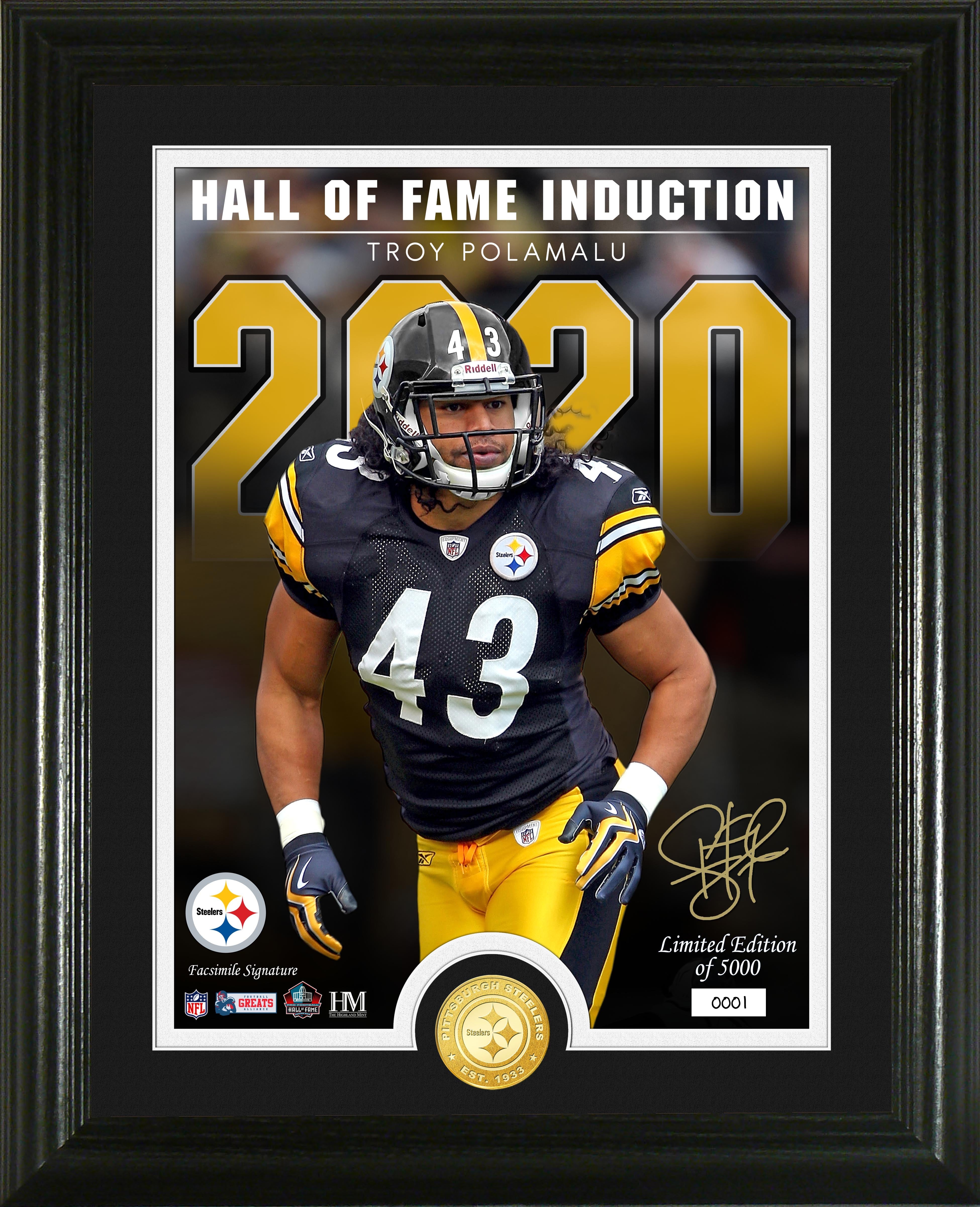 Troy Polamalu Signature Series Bronze Coin Photo Mint