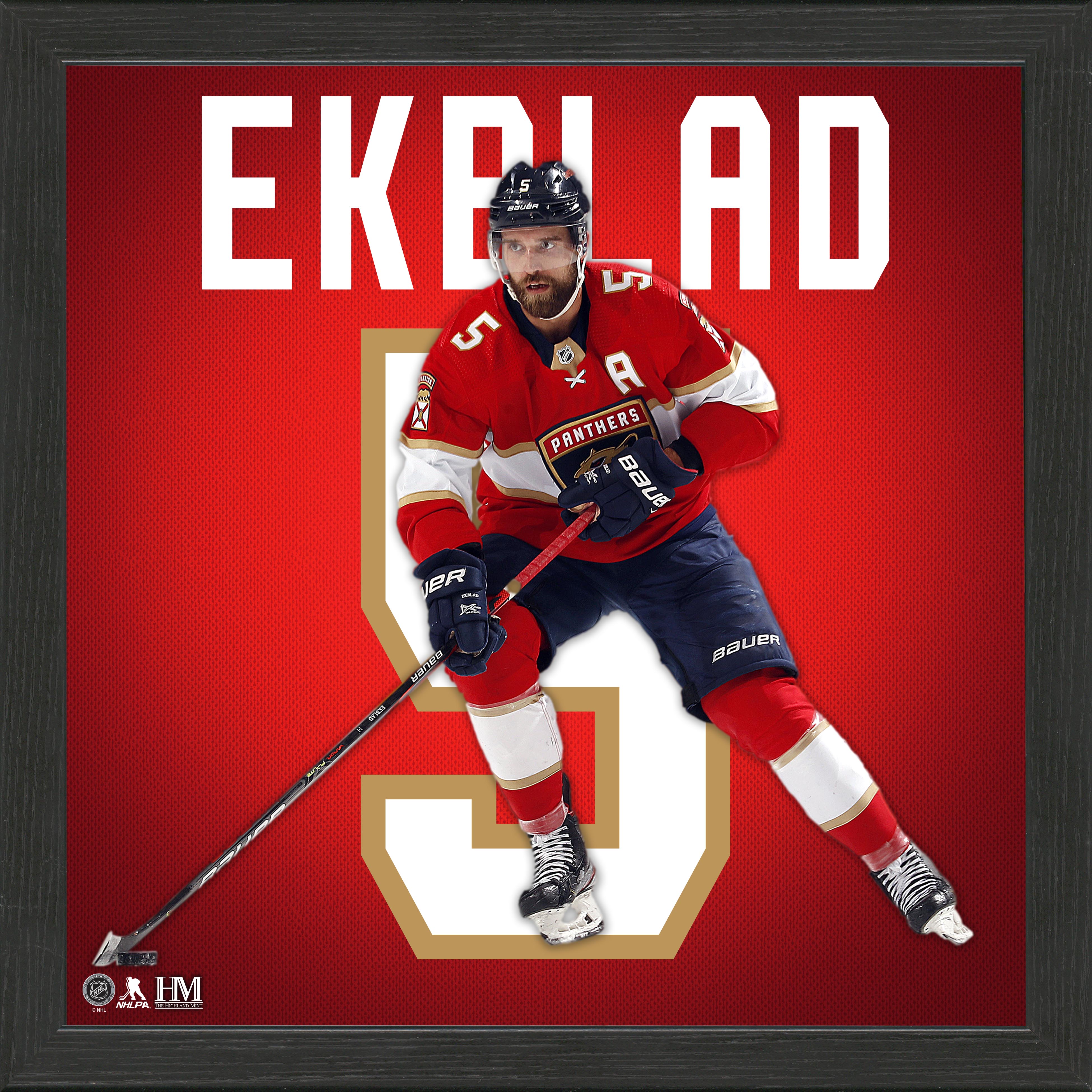 Aaron Ekblad Panthers Impact Jersey Frame