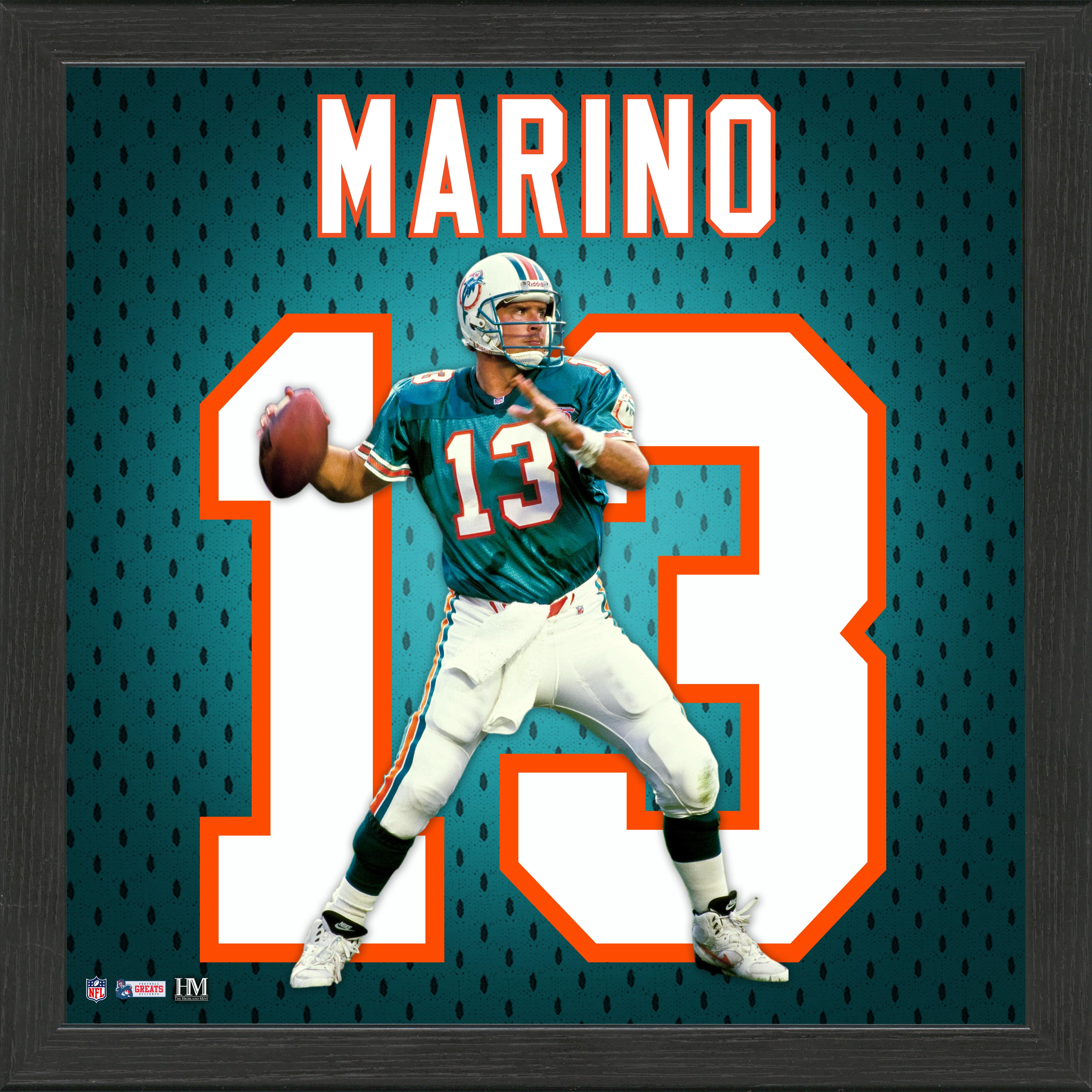 Dan Marino Jersey Impact Frame