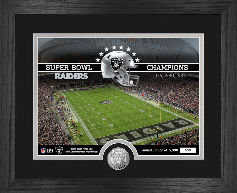 Las Vegas Raiders Stadium Silver Coin Photo Mint