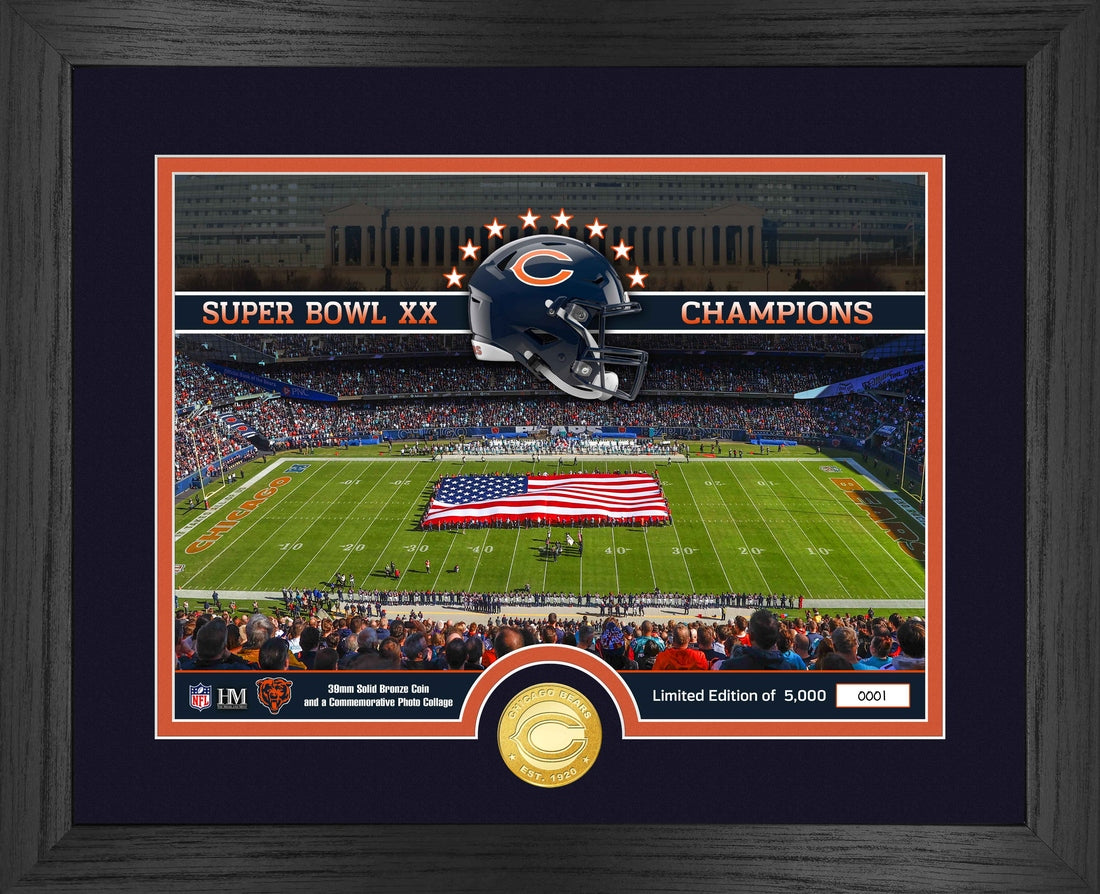 Chicago Bears Stadium Bronze Coin Photo Mint